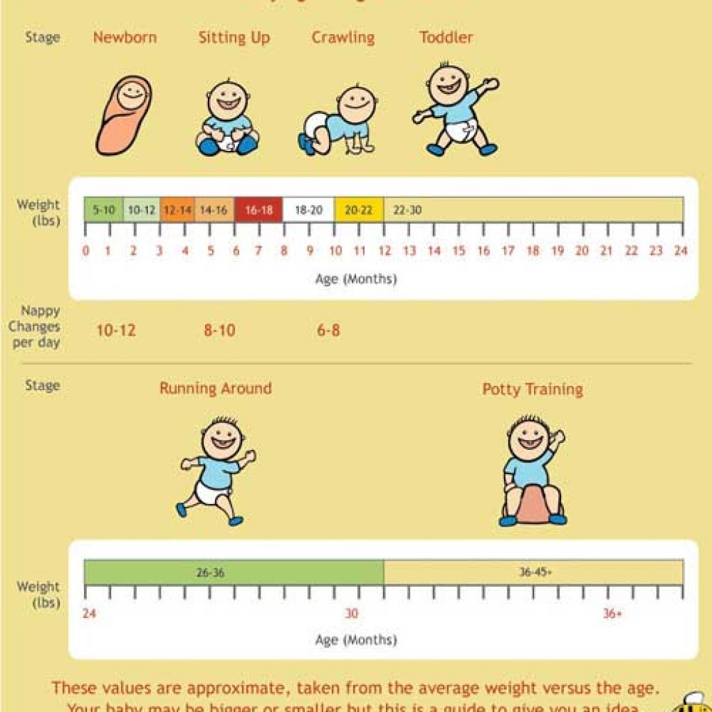 24 Baby Weight Charts - Template Lab