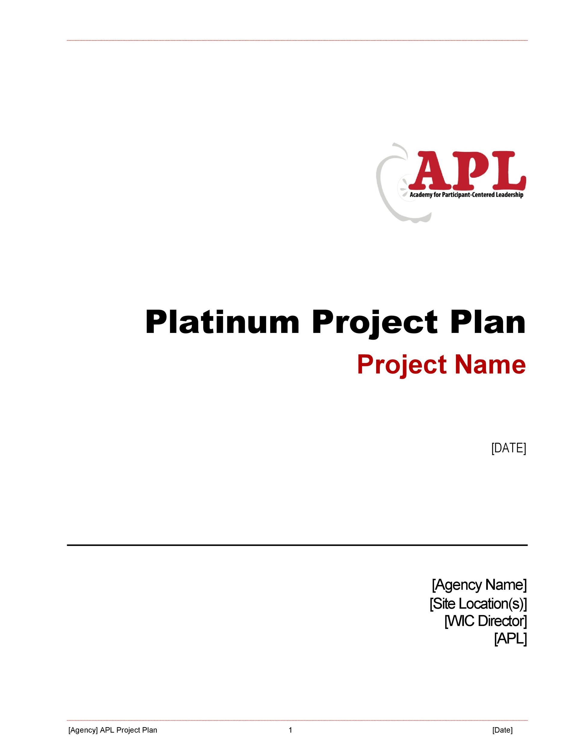 48 Professional Project Plan Templates Excel Word PDF TemplateLab