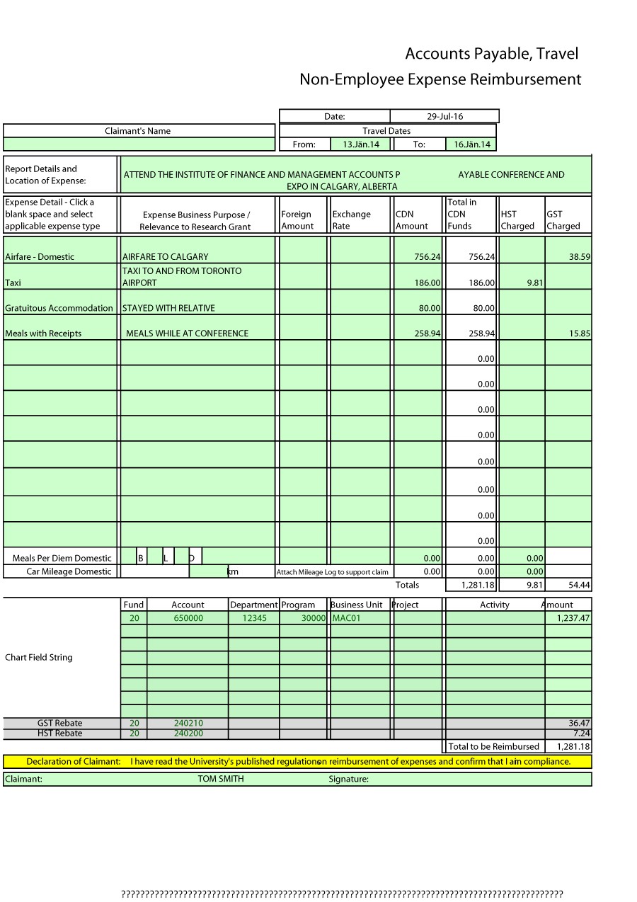 medical expense report template