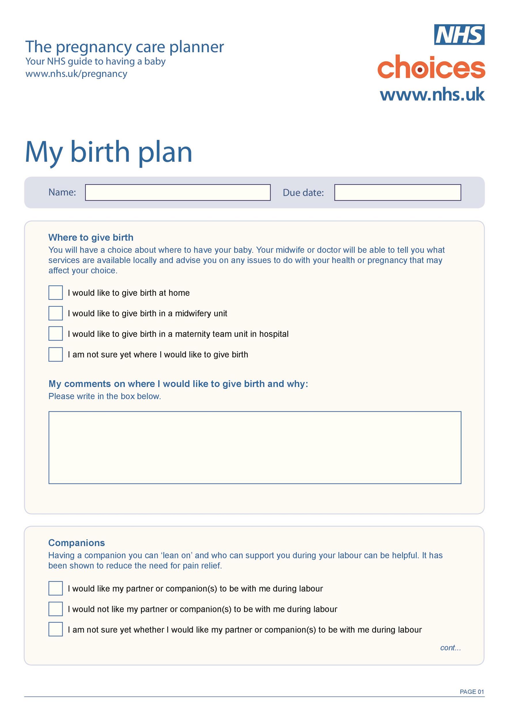 Free Birth Plan Template 02