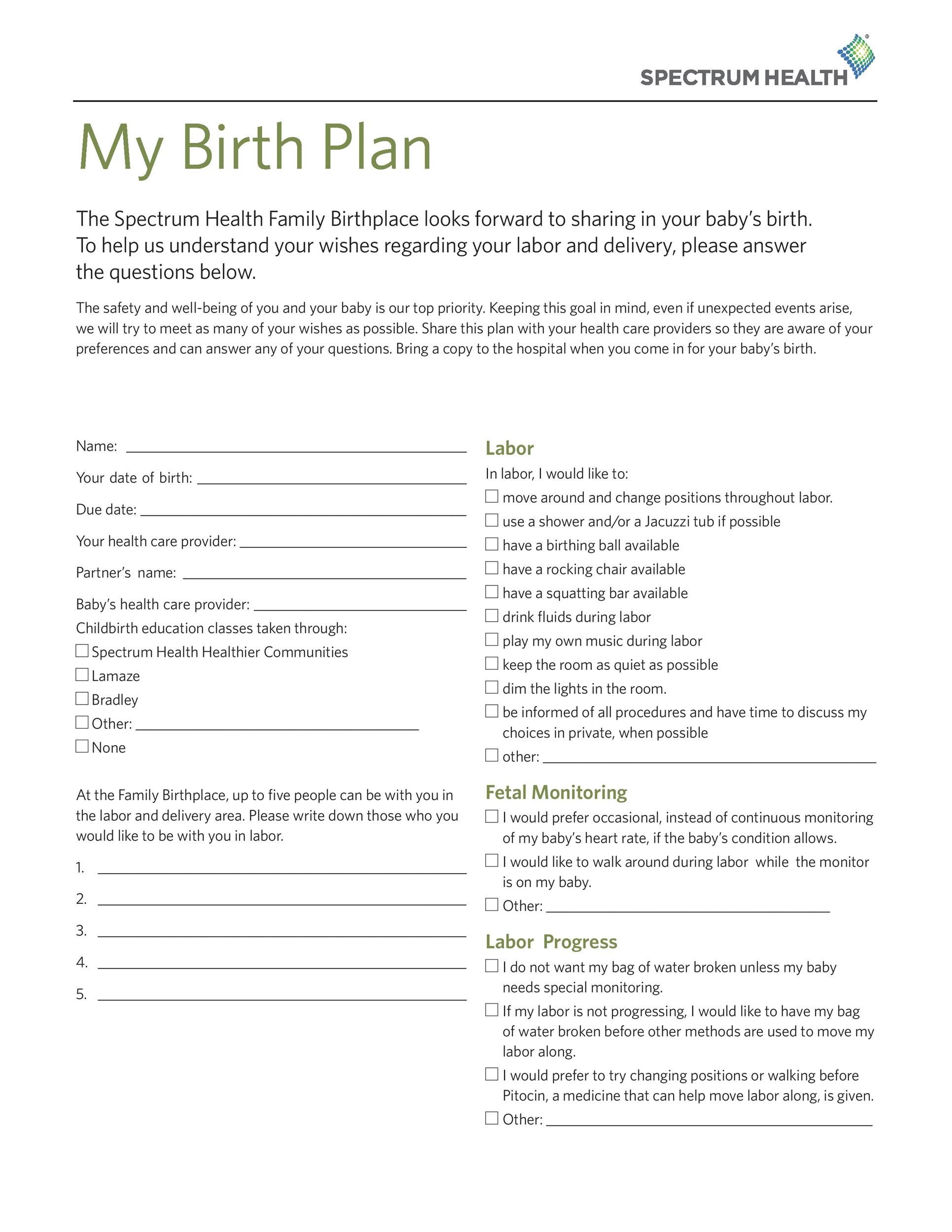Free Birth Plan Template 17