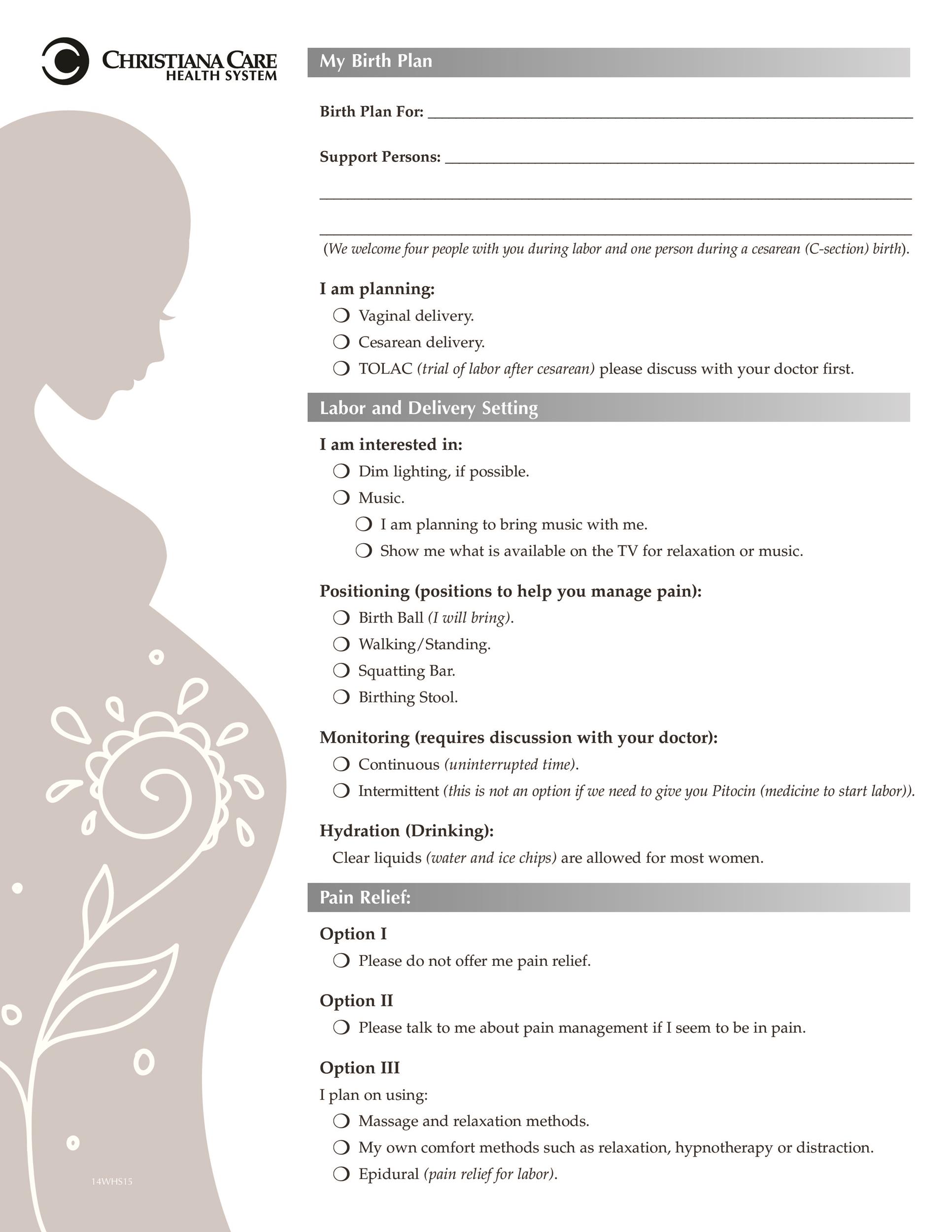 47+ Printable Birth Plan Templates [Birth Plan Checklist ...