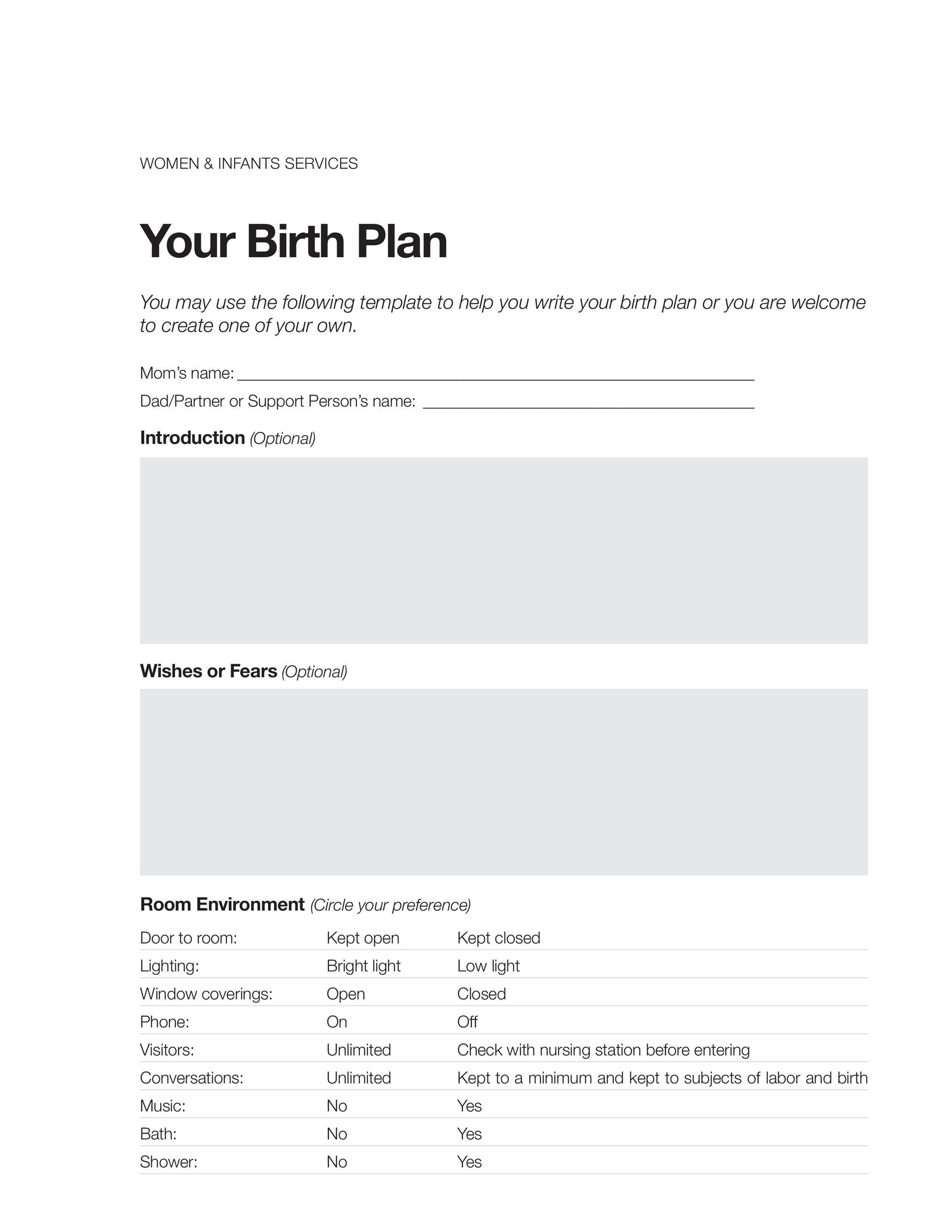 Free Birth Plan Template 21