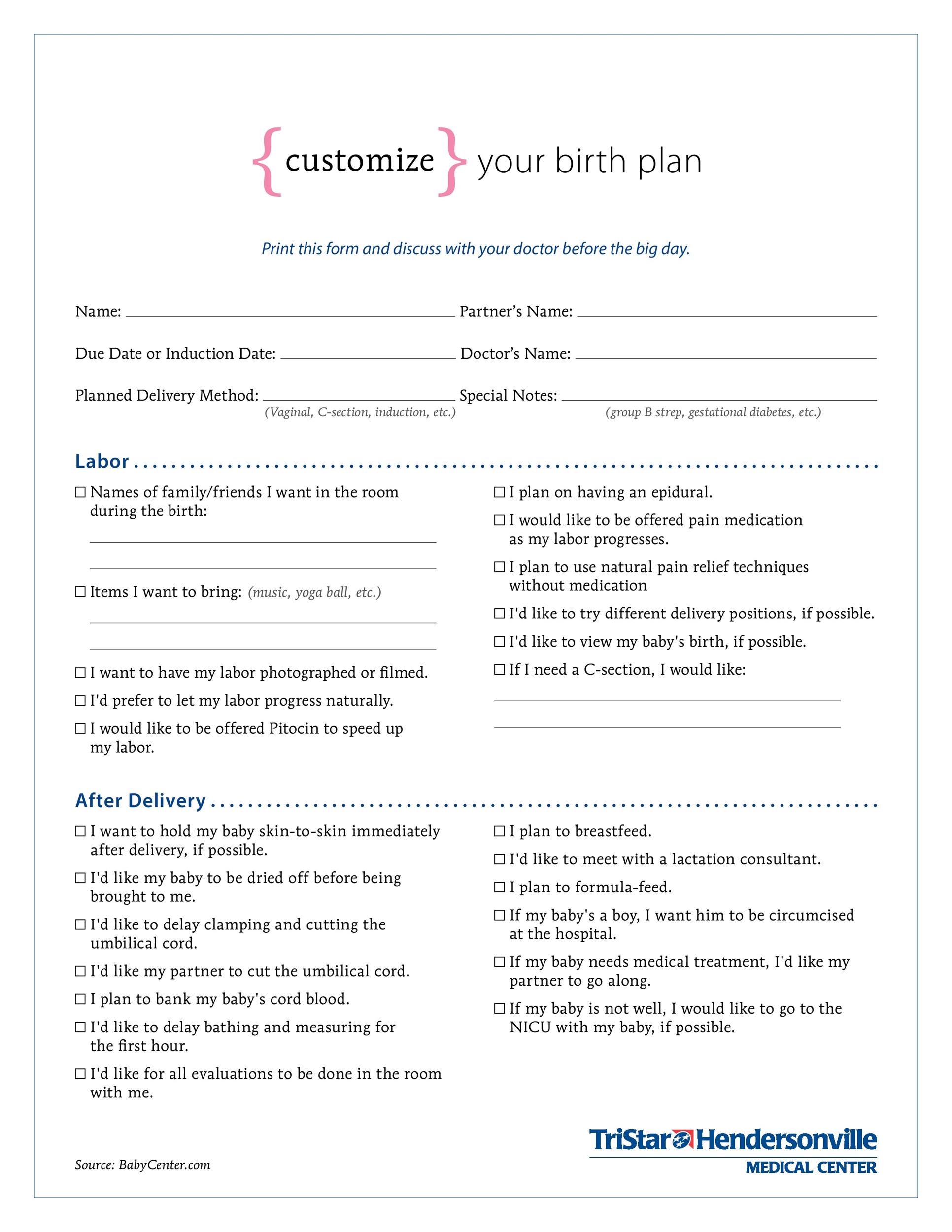 Free Birth Plan Template 32