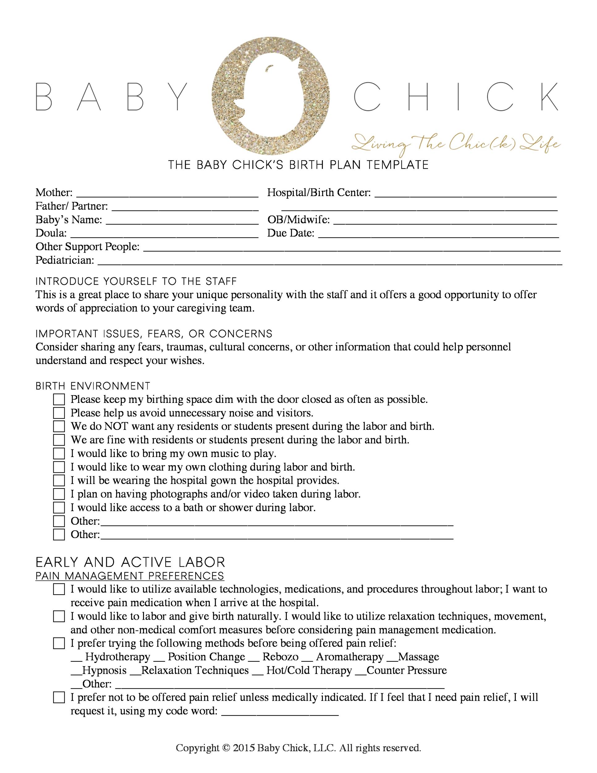 47+ Printable Birth Plan Templates [Birth Plan Checklist] ᐅ TemplateLab