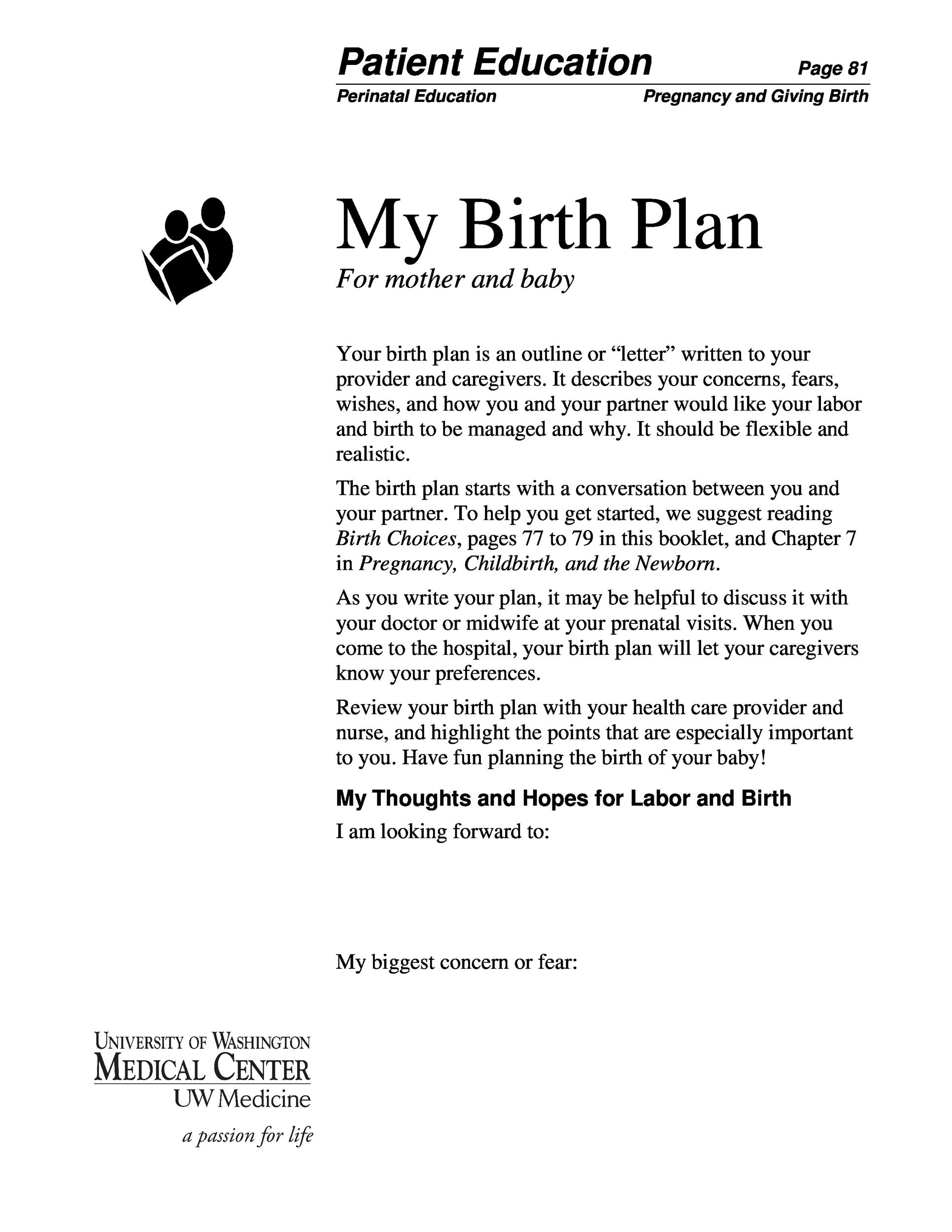 Free Birth Plan Template 36