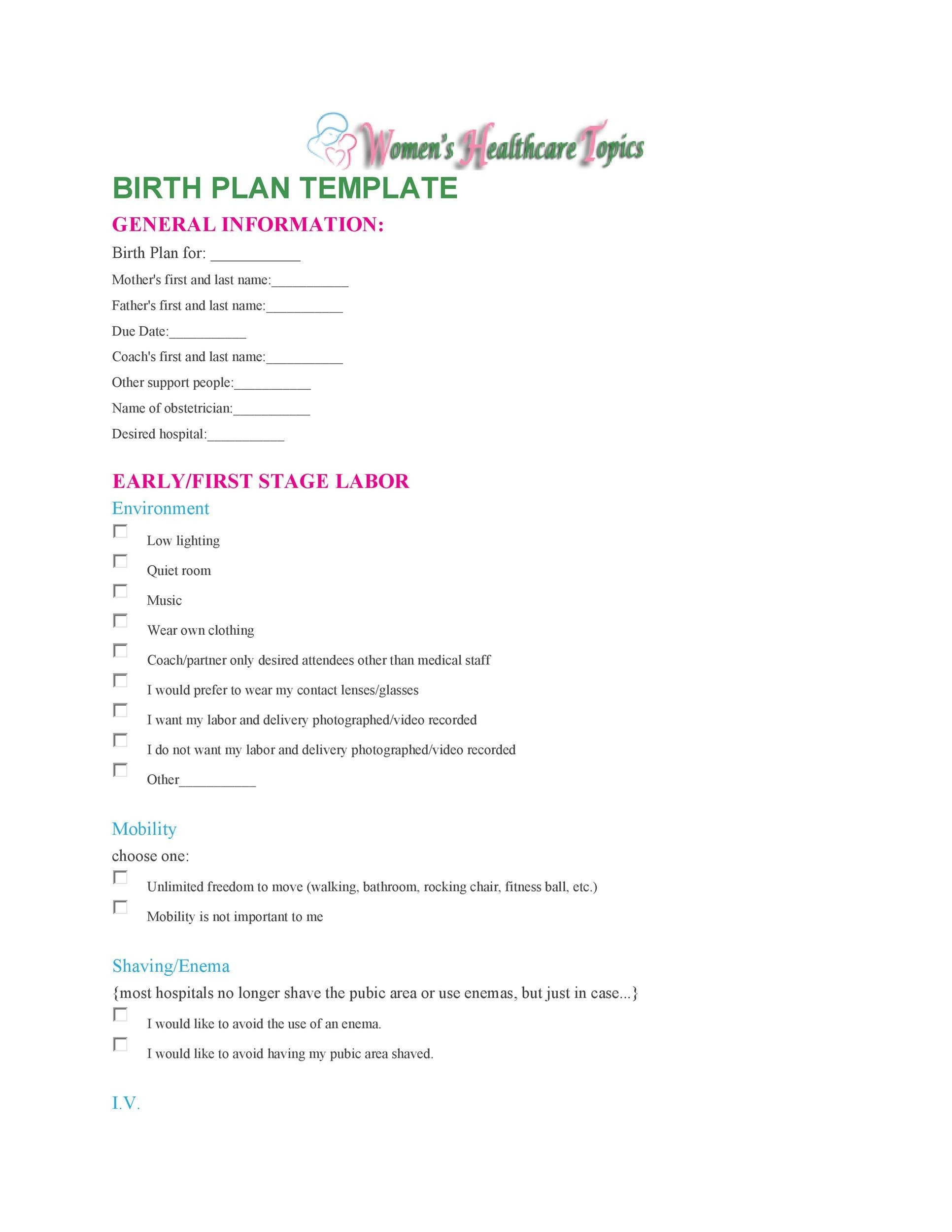 Free Birth Plan Template 46