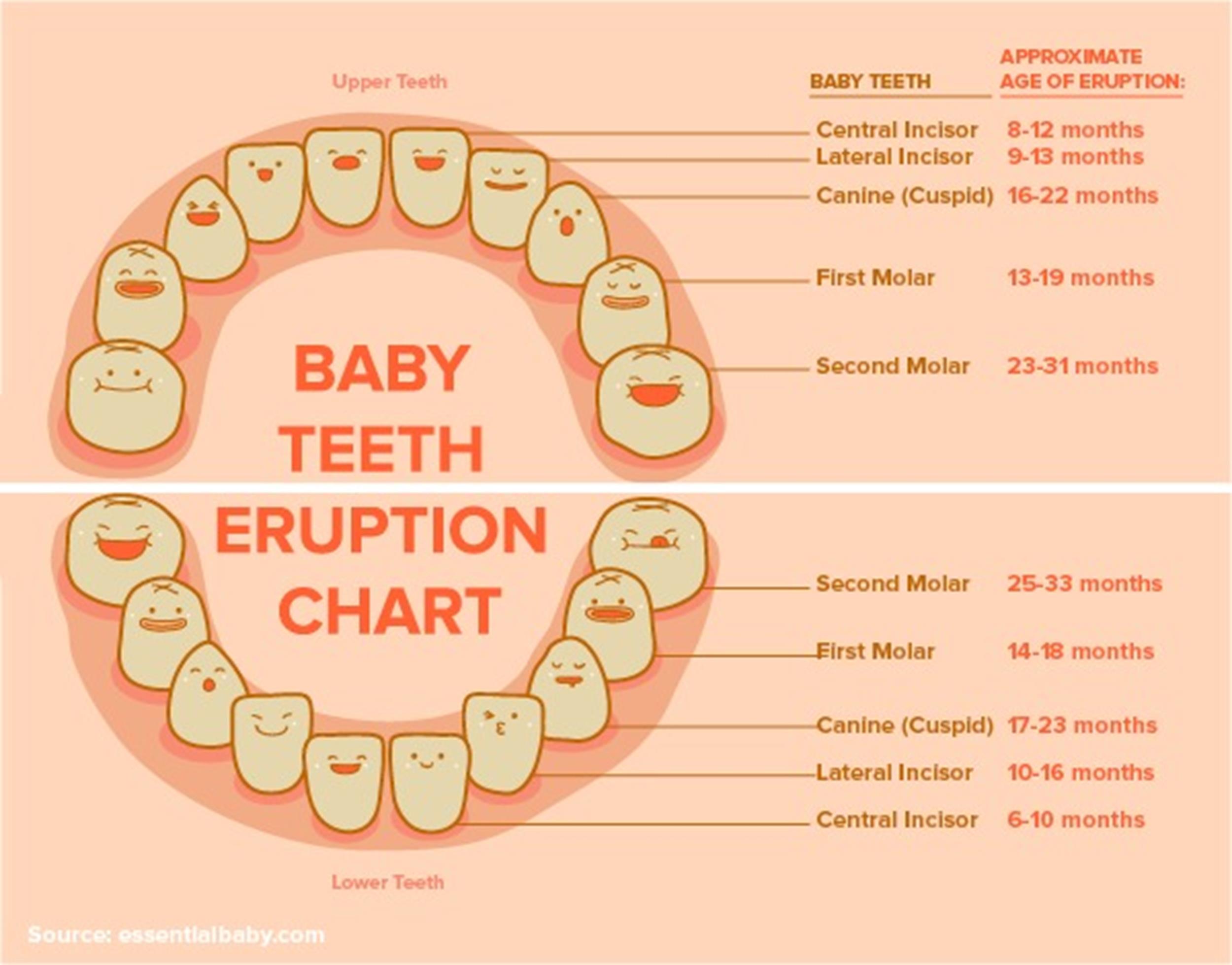 Baby Chart By Age