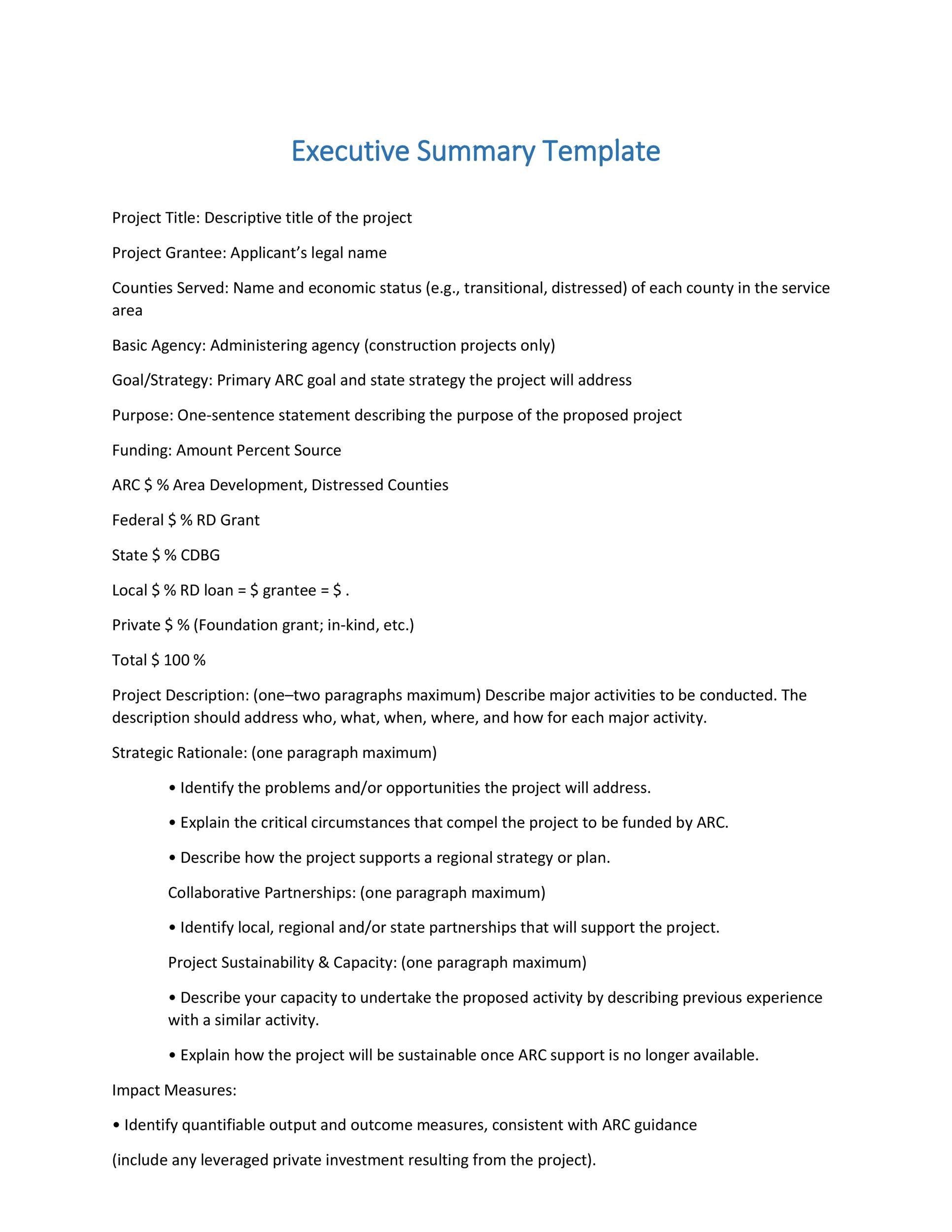 Project Executive Summary Template Word