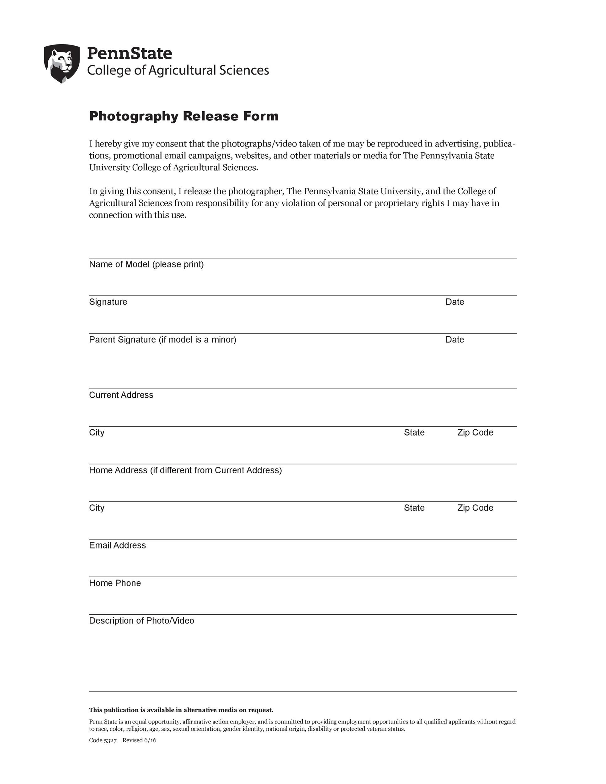 Free photo release form 13
