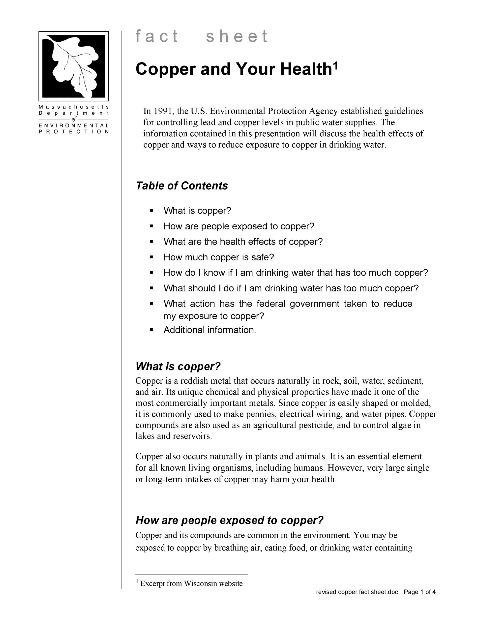 Company Info Sheet Template from templatelab.com
