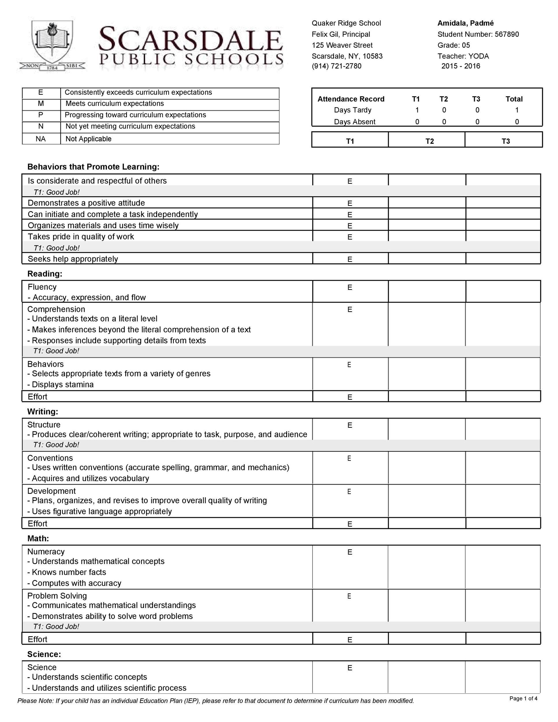 New 90 Professional Report Card Template