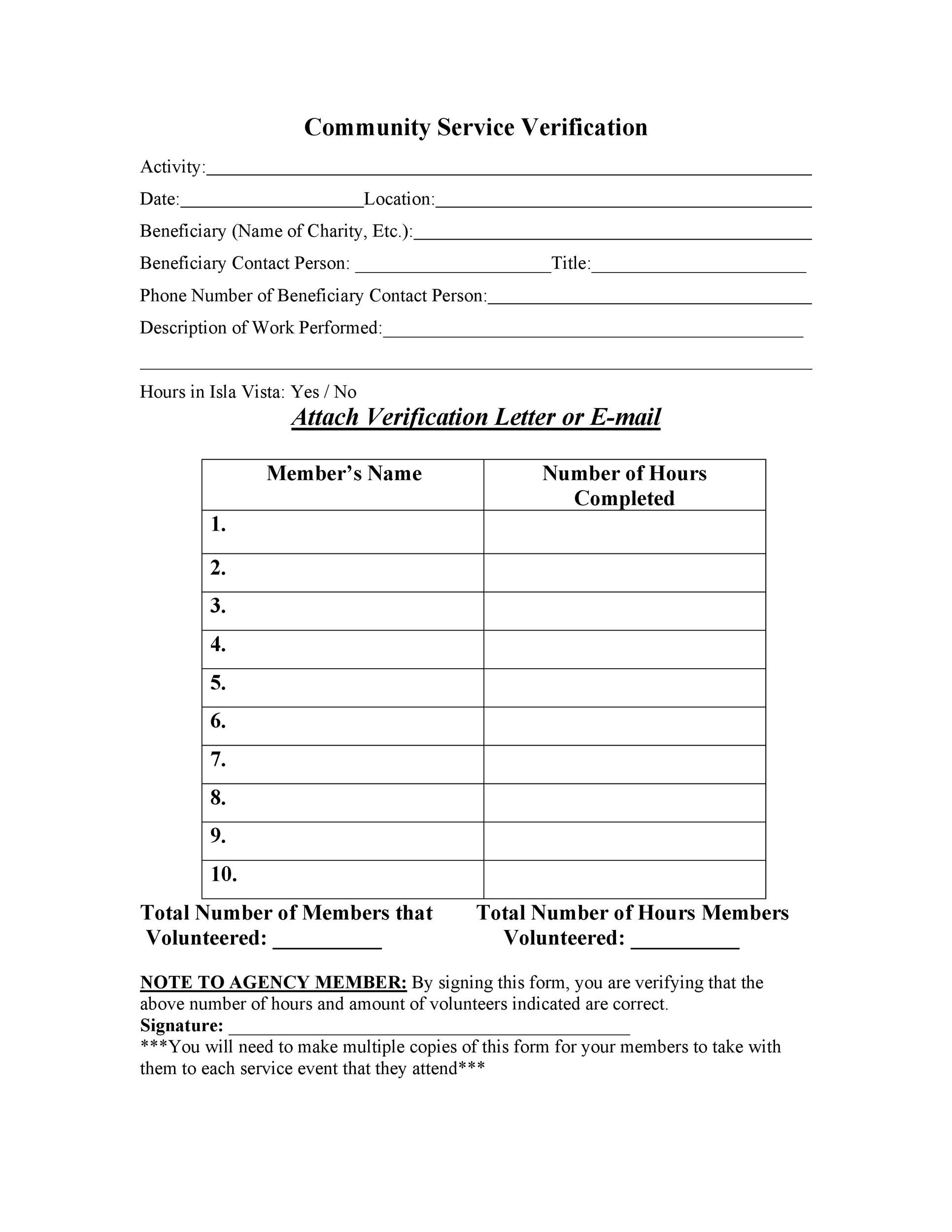 Volunteers Application Form Template from templatelab.com