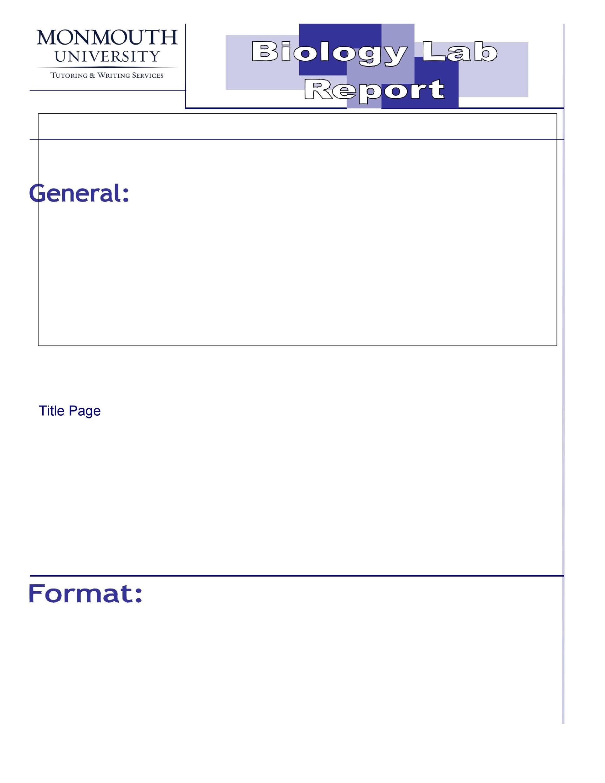 Free lab report template 16