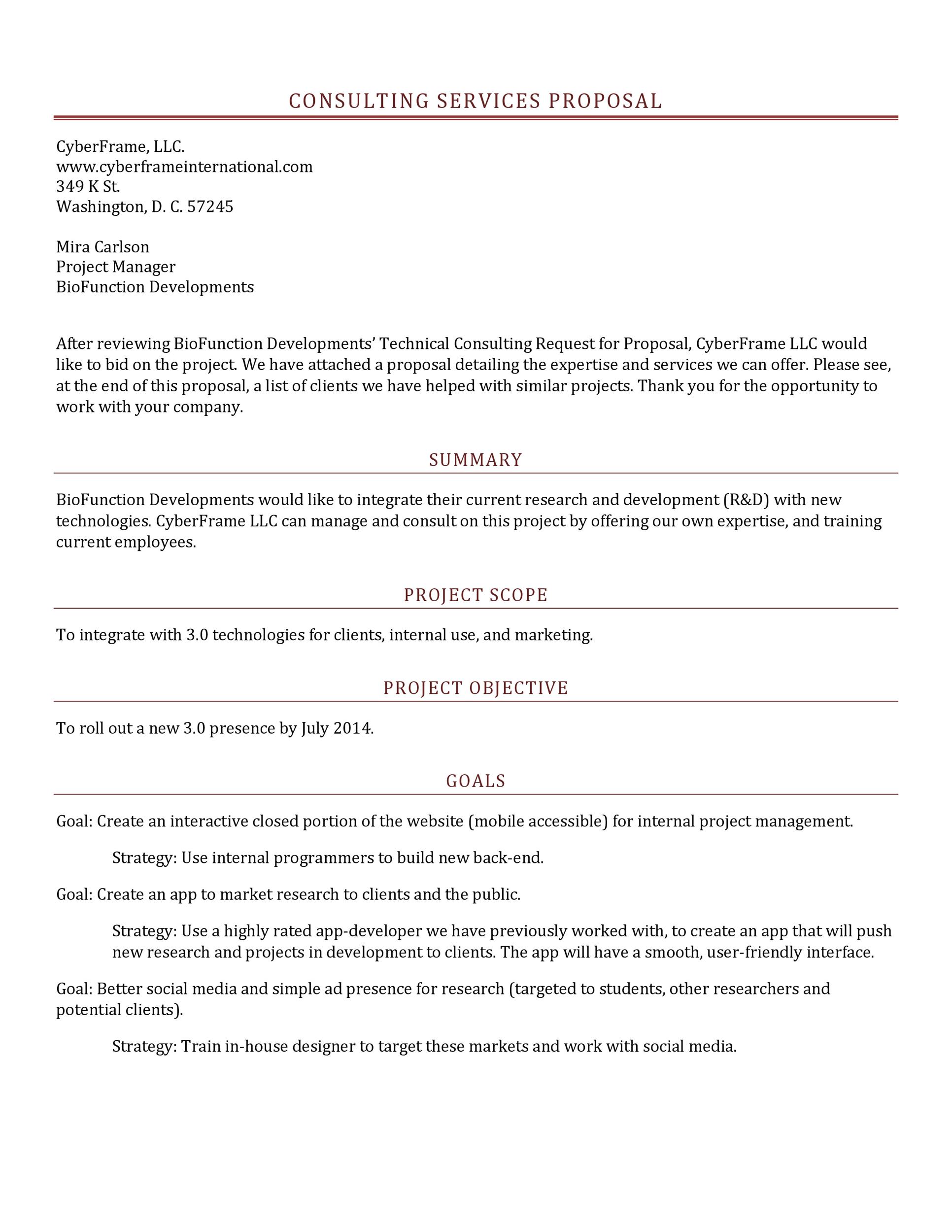 Consultant Brief Template