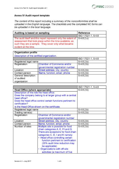 Free audit report template 02