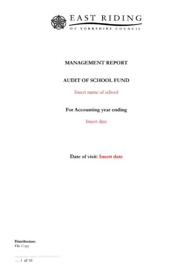 Free audit report template 07