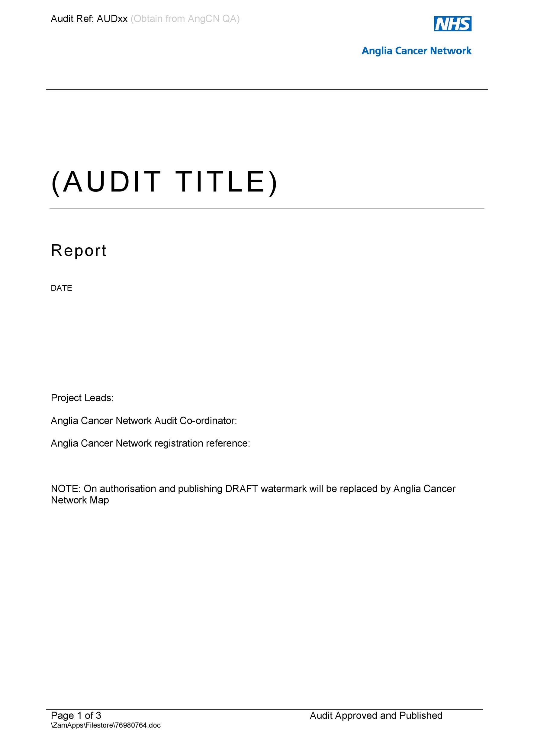 Free audit report template 09
