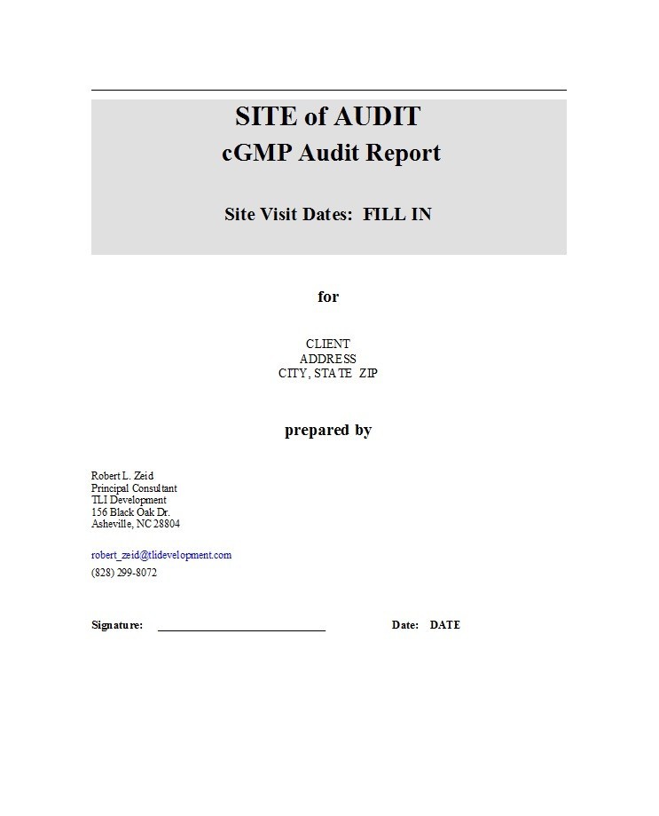 Free audit report template 10