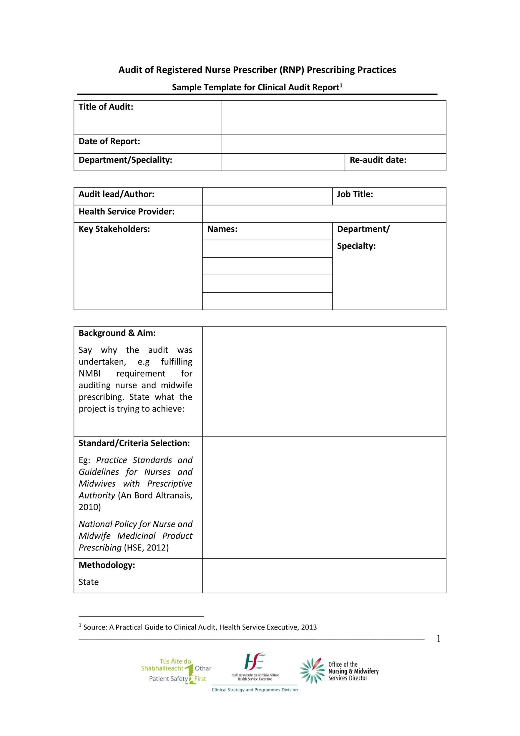 Free audit report template 17