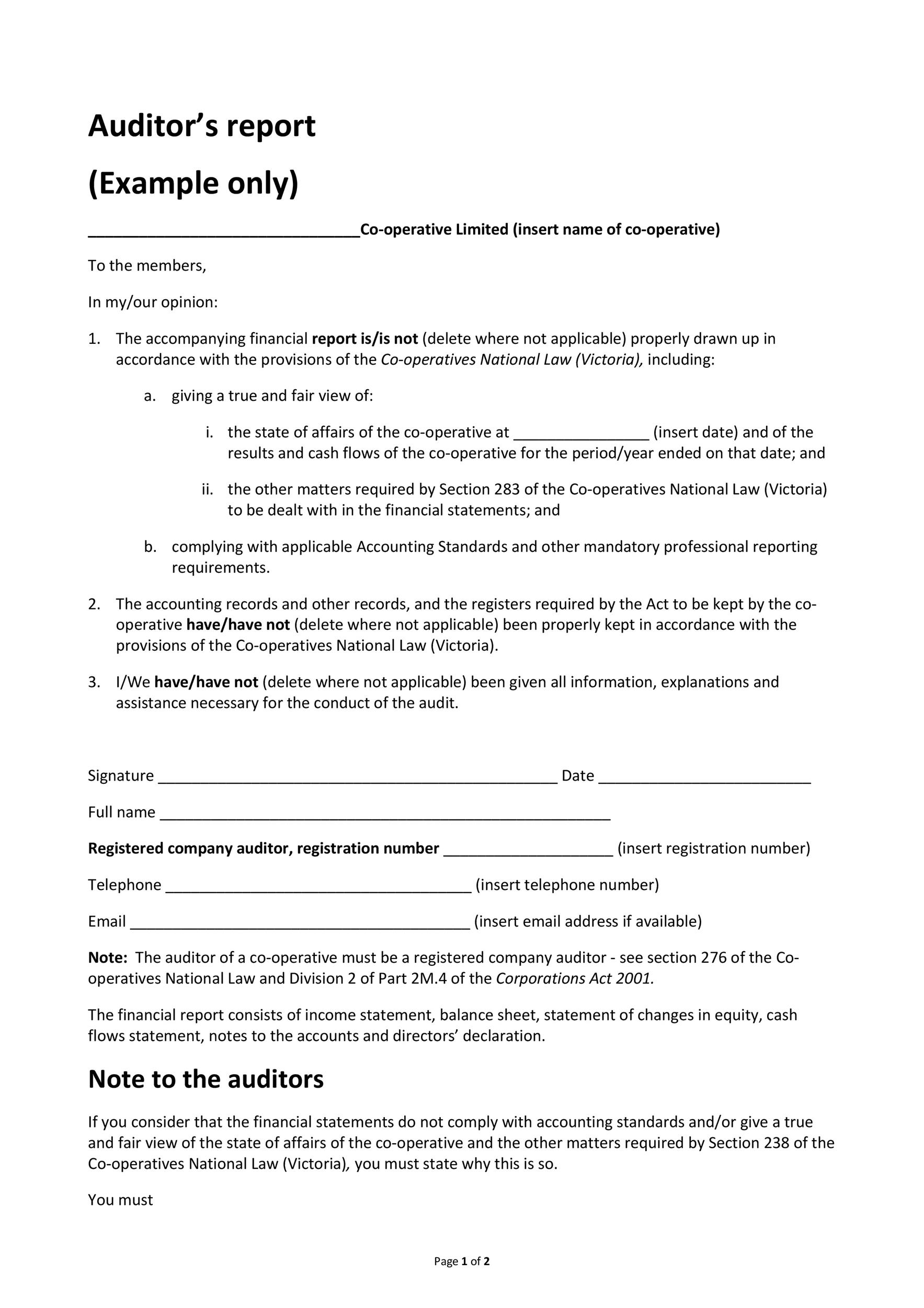 Free audit report template 18