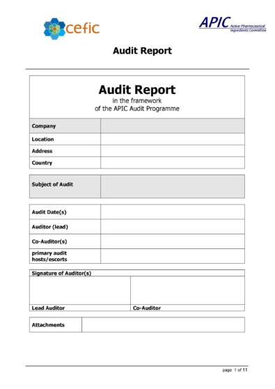 Free audit report template 20