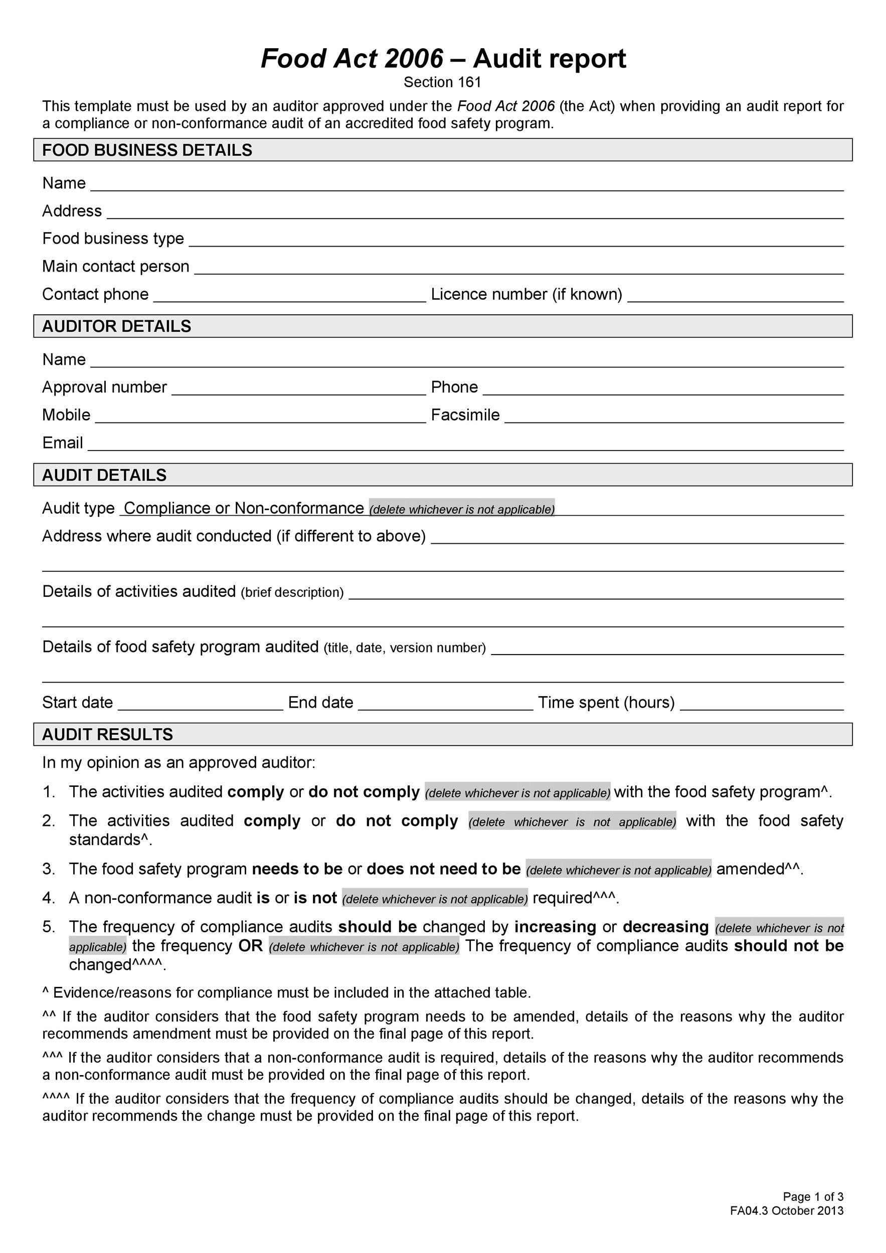 Free audit report template 21