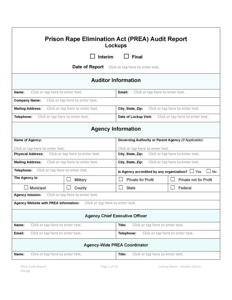 Qualified Audit Report Template
