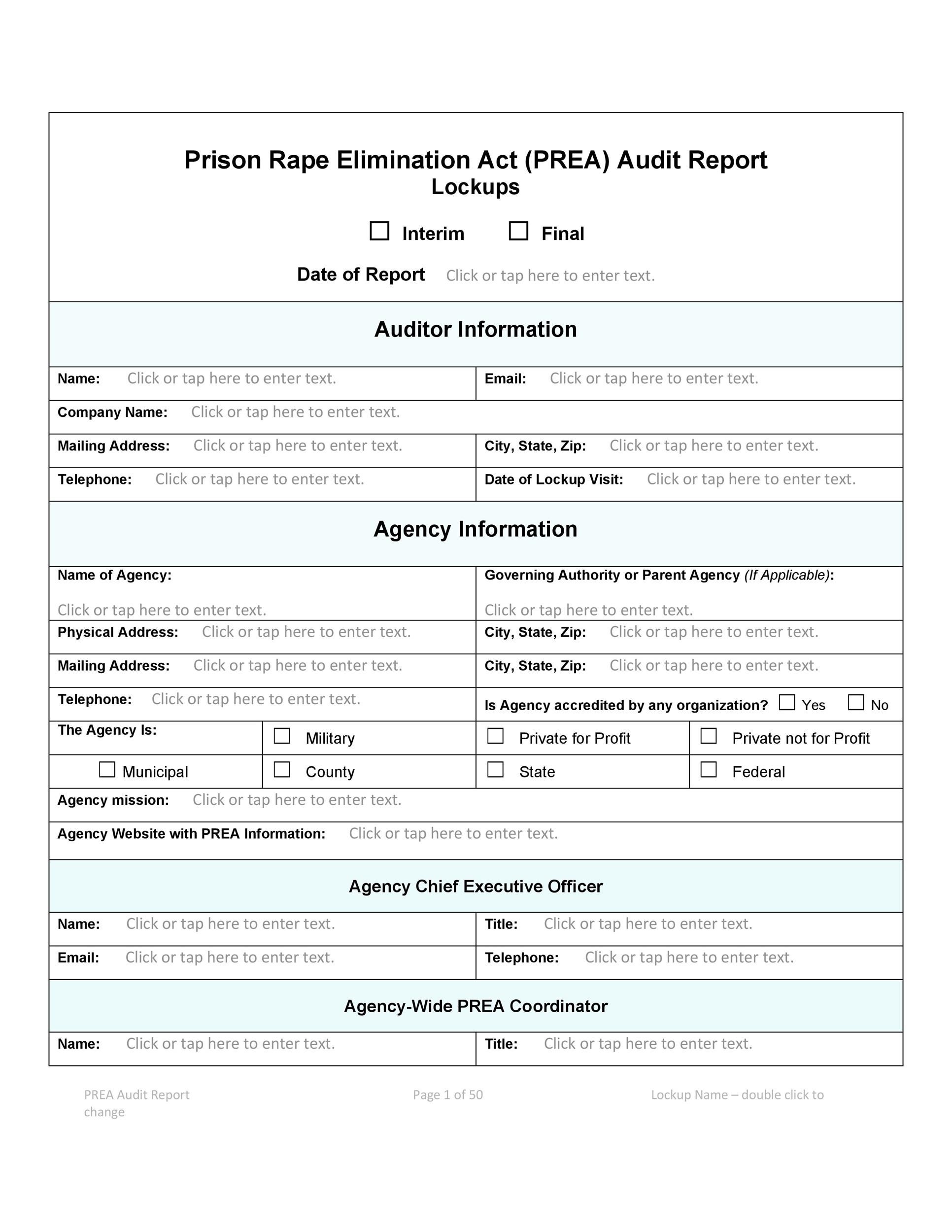 Free audit report template 30