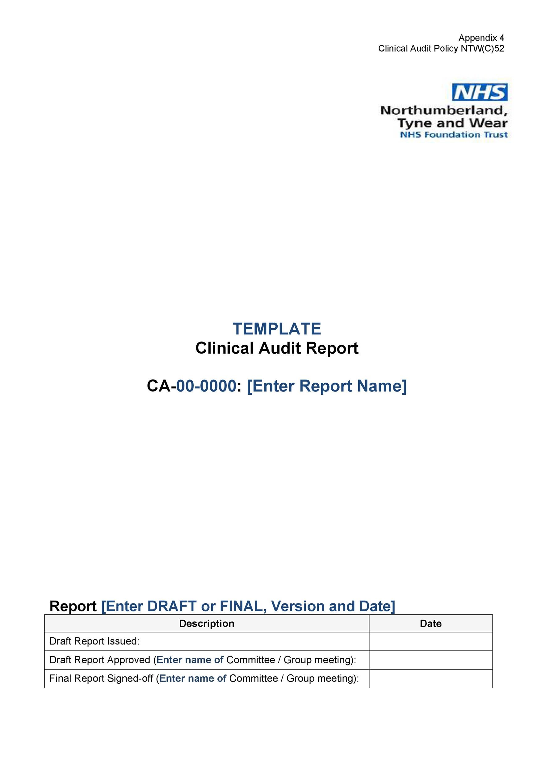 Free audit report template 31