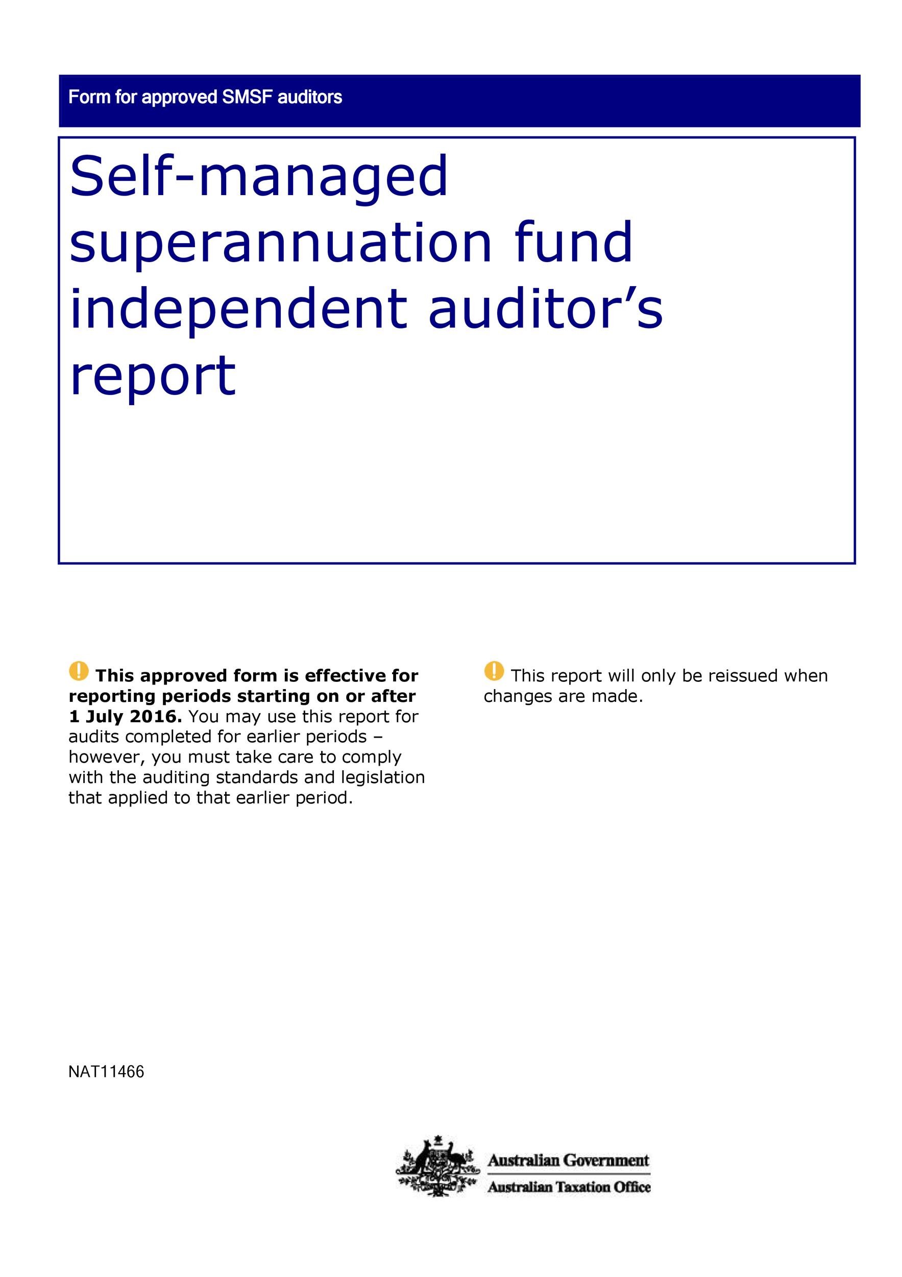 Free audit report template 40