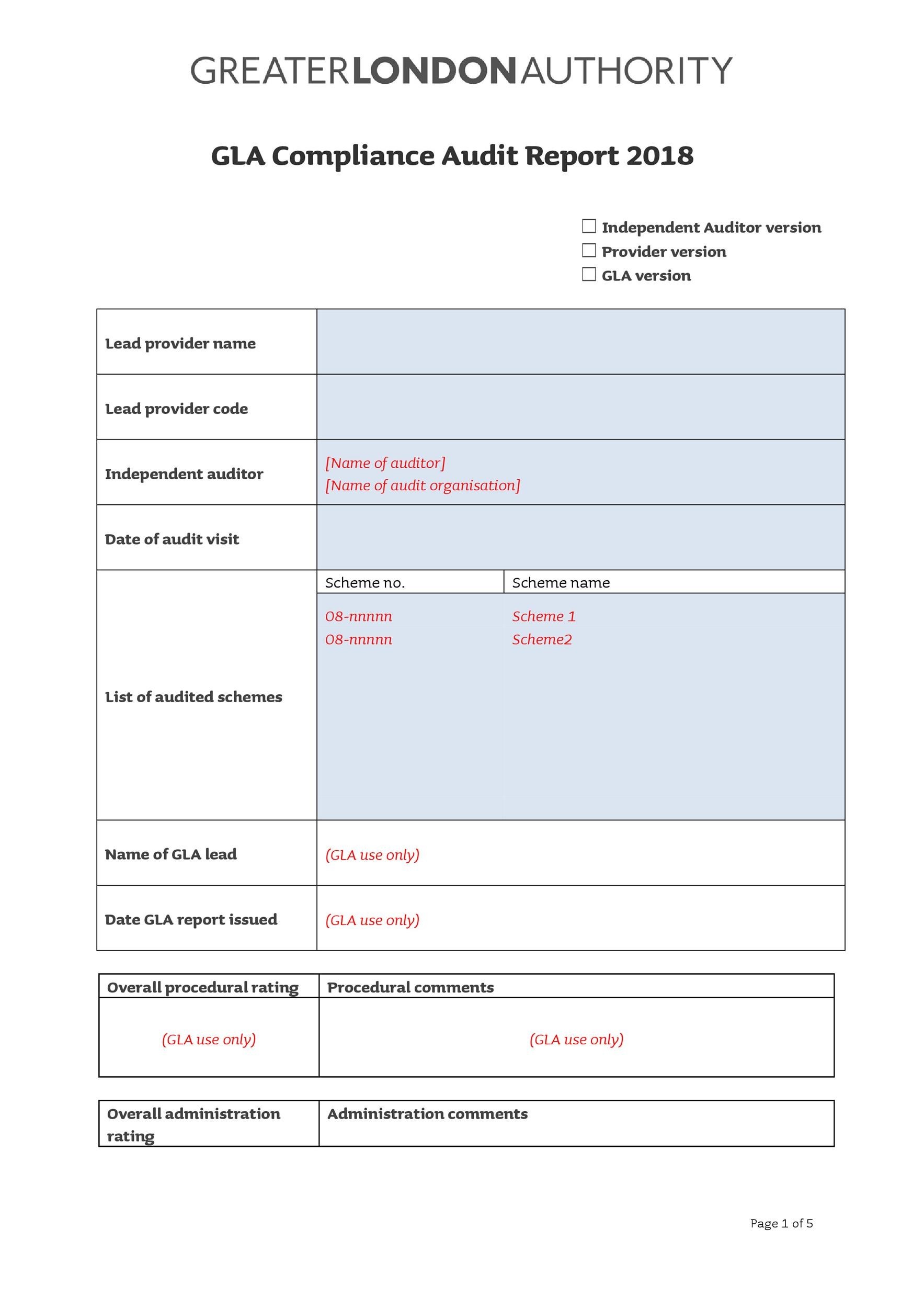 Free audit report template 41