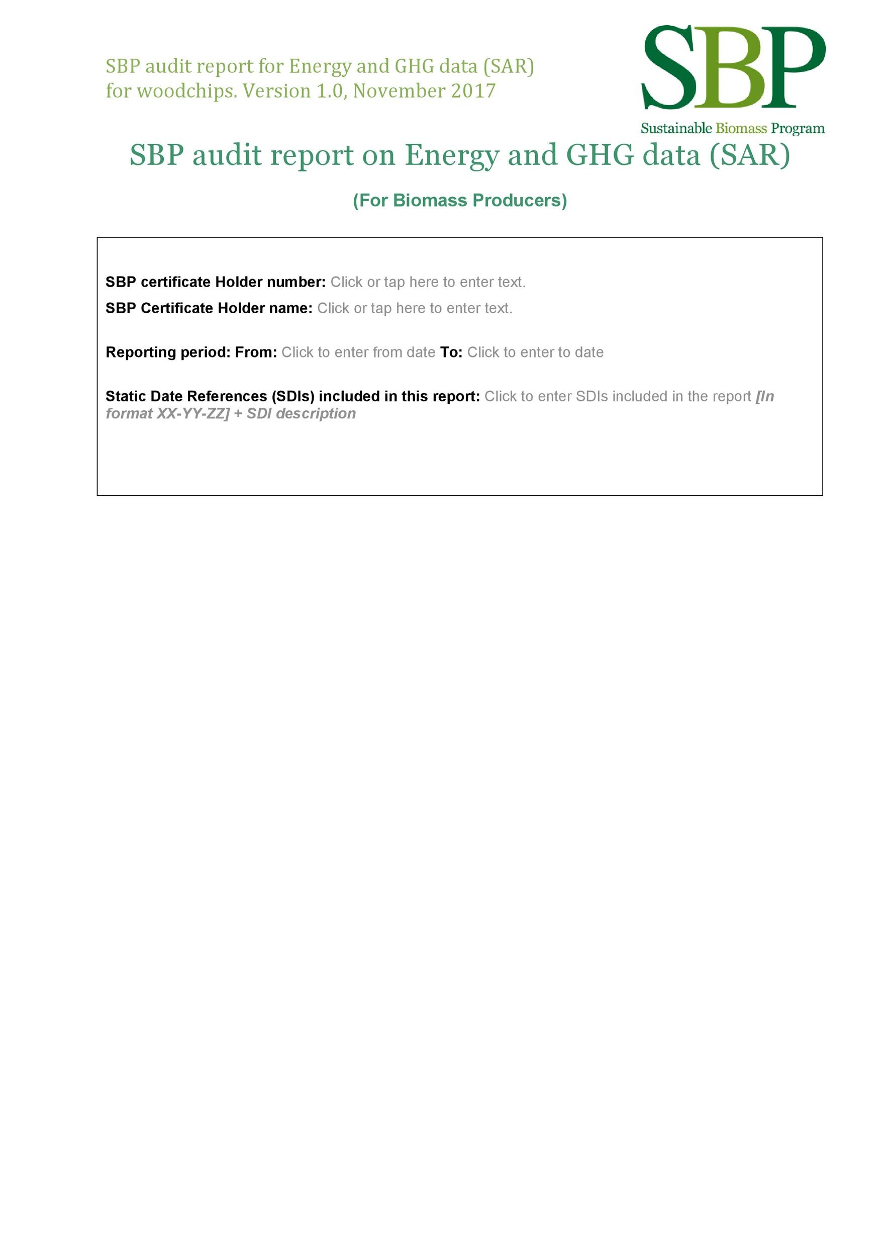 Free audit report template 42