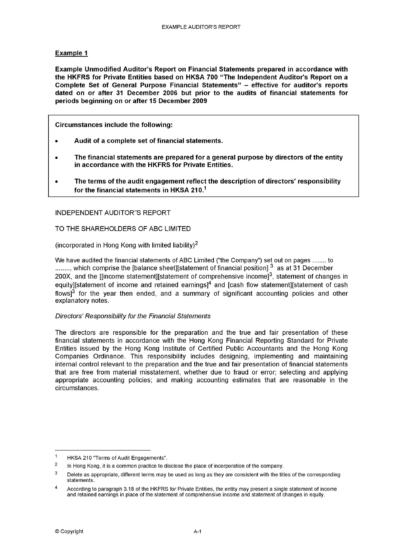 Free audit report template 48