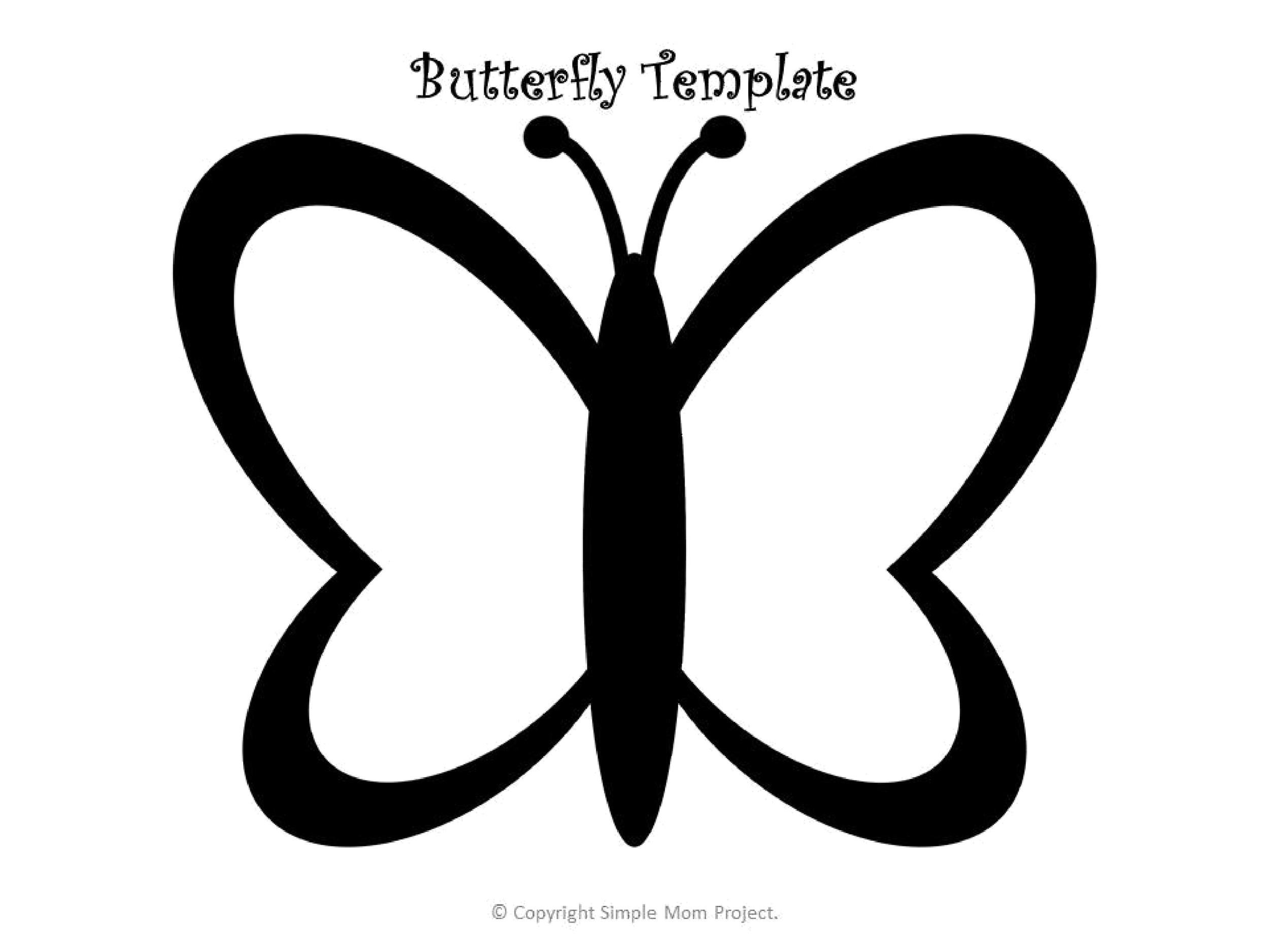 Free butterfly template 16