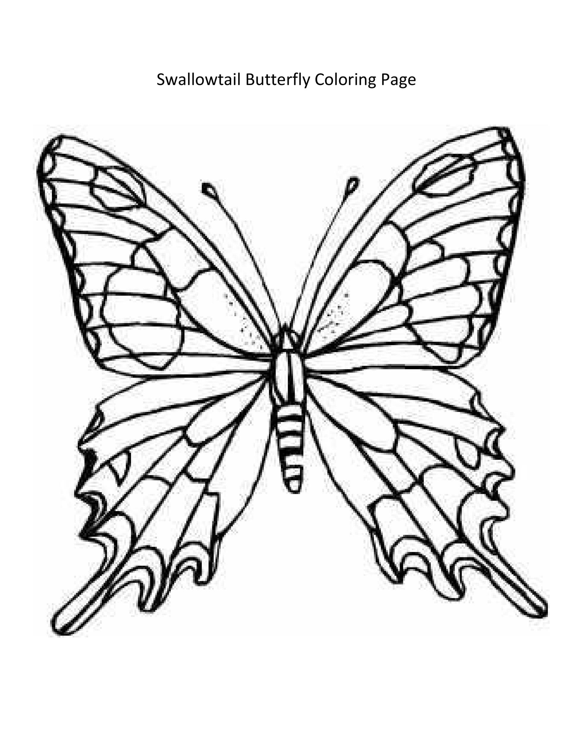Free butterfly template 24