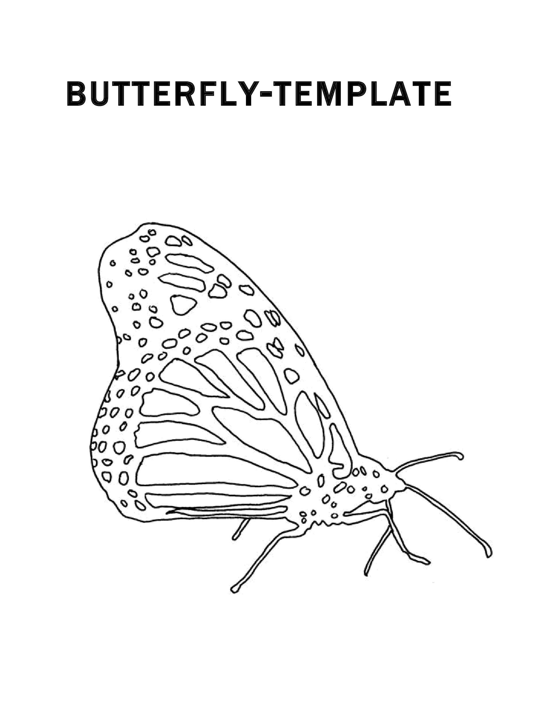 Free butterfly template 25