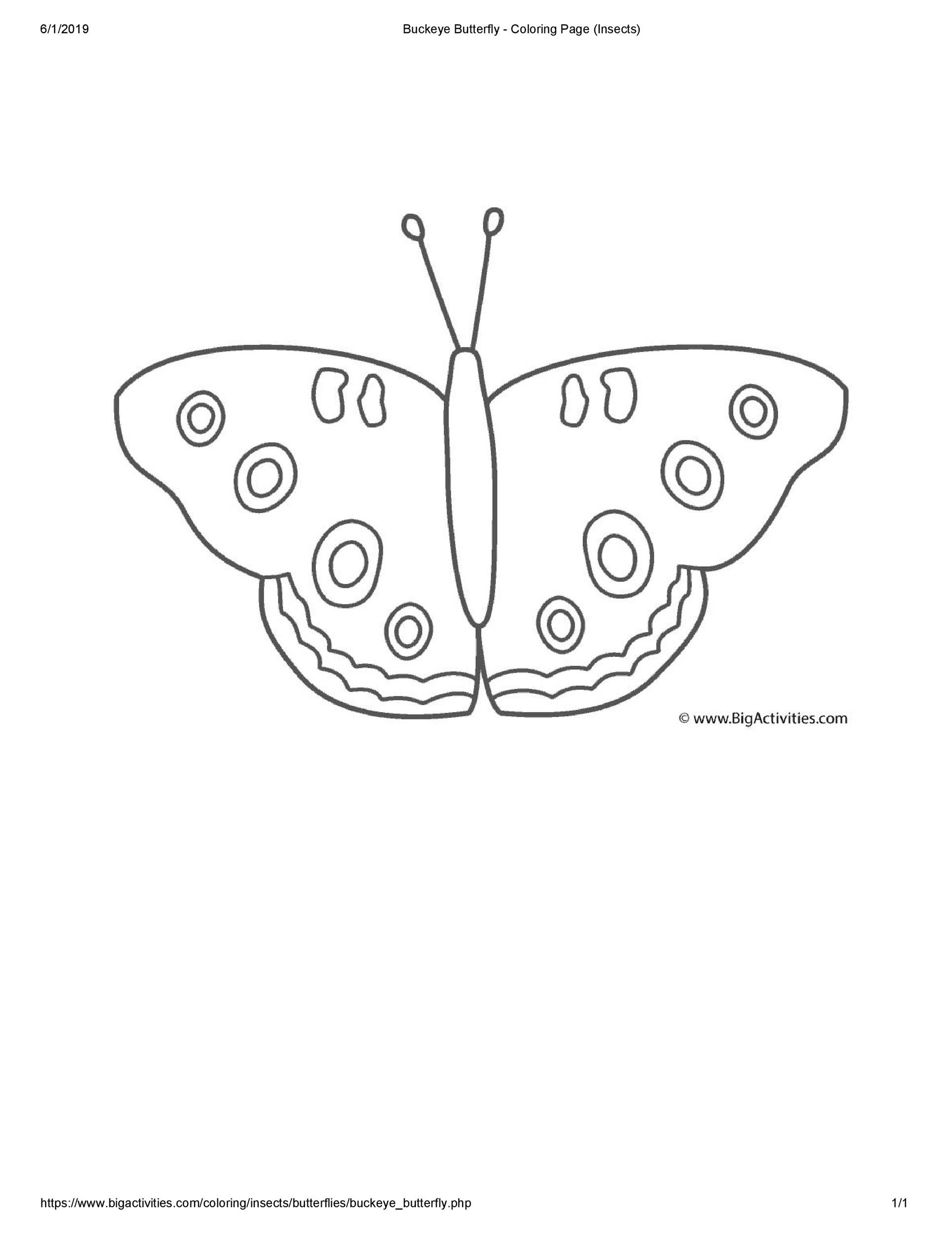 Free butterfly template 35