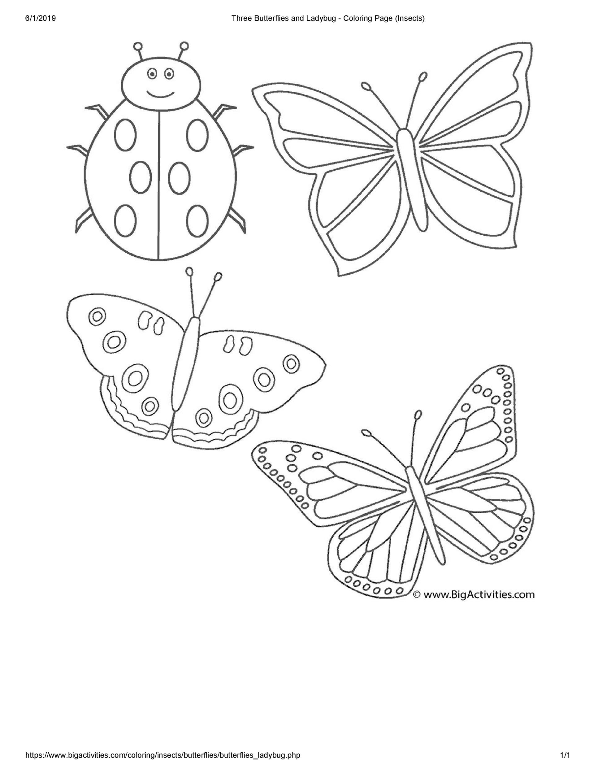 Free butterfly template 43