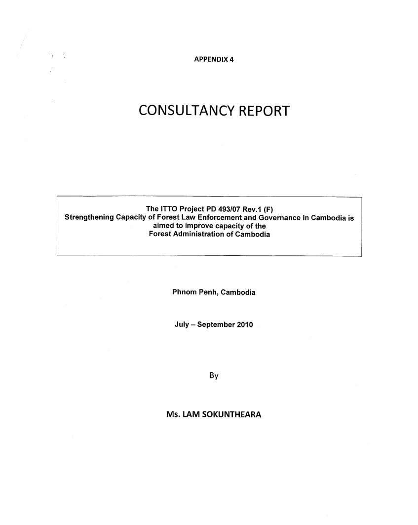 Free consulting report template 37