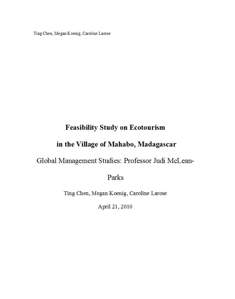 example feasibility study research paper