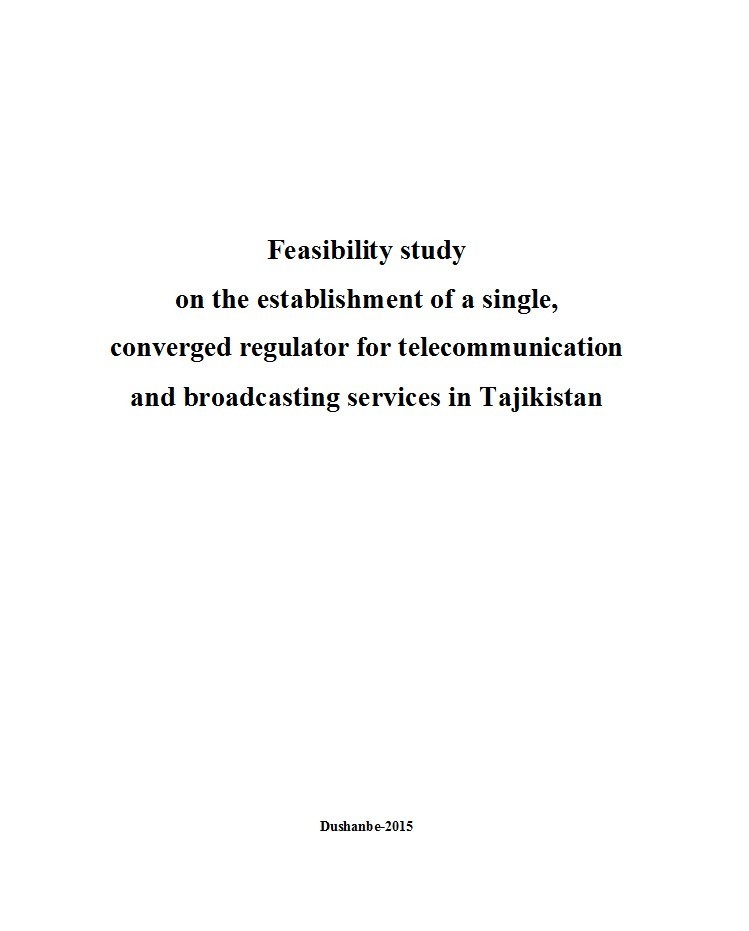 dissertation feasibility study