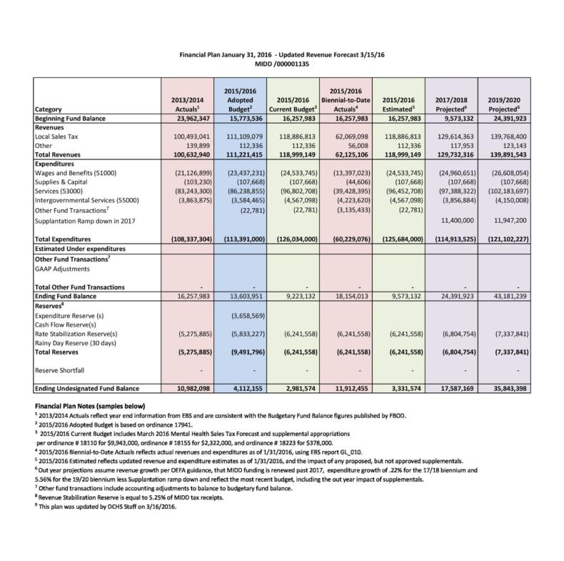 50-professional-financial-plan-templates-personal-business