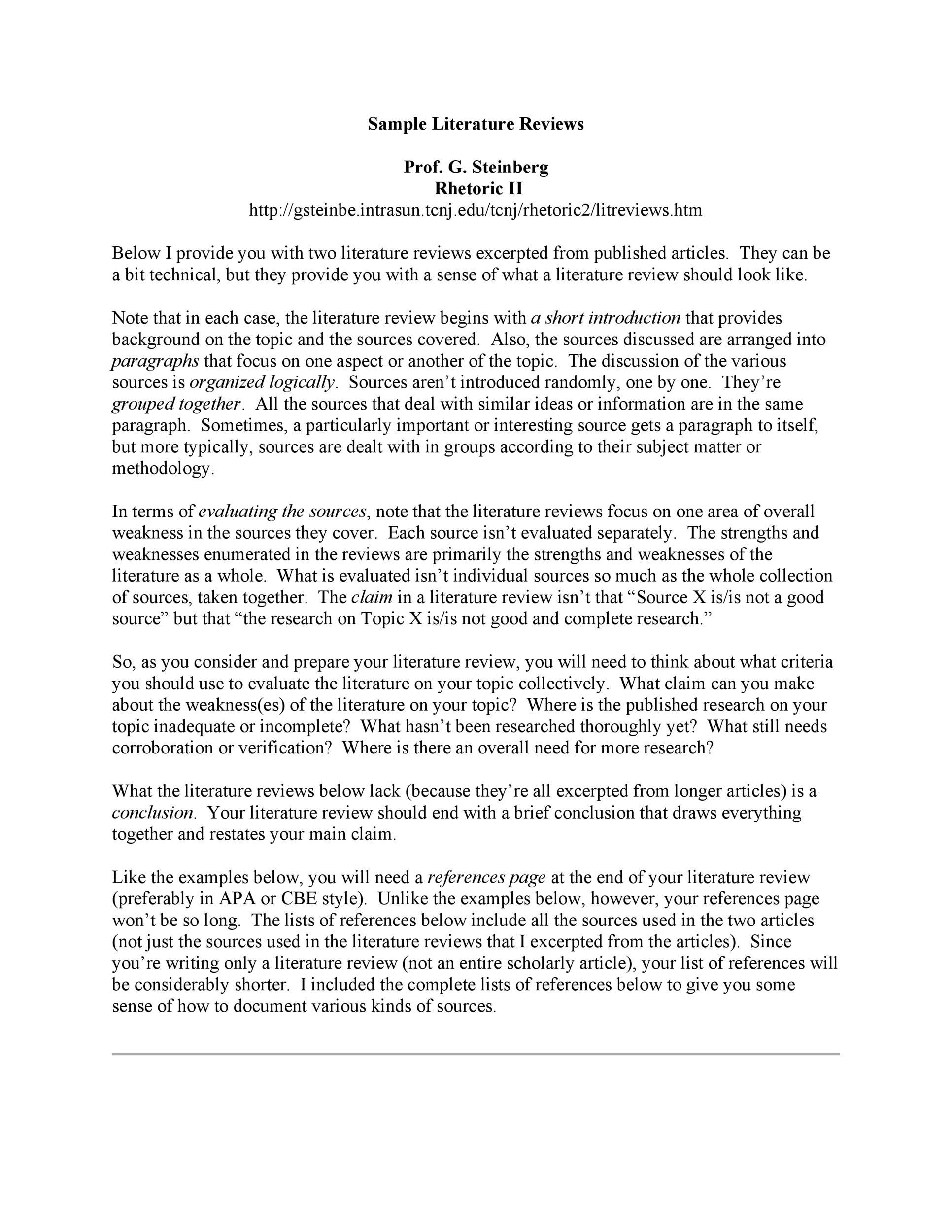 Free literature review template 39