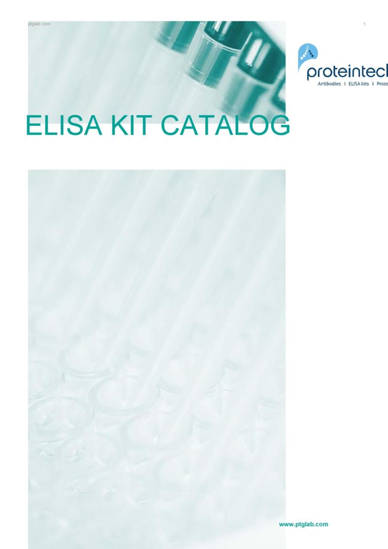 50 Free Catalog Templates (MS Word, Instant Download) ᐅ TemplateLab