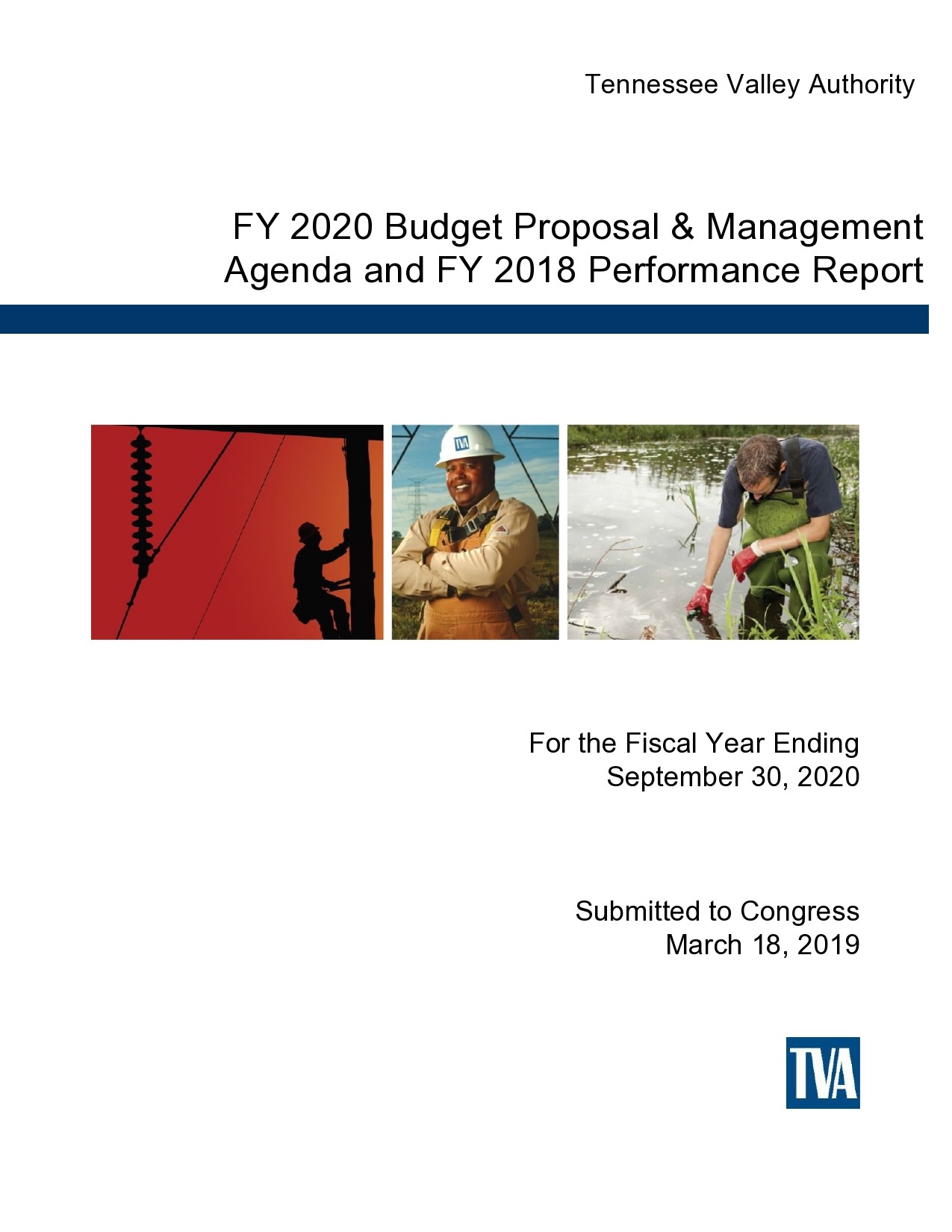 Free budget proposal template 46