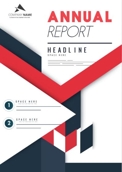 Llc Annual Report Template