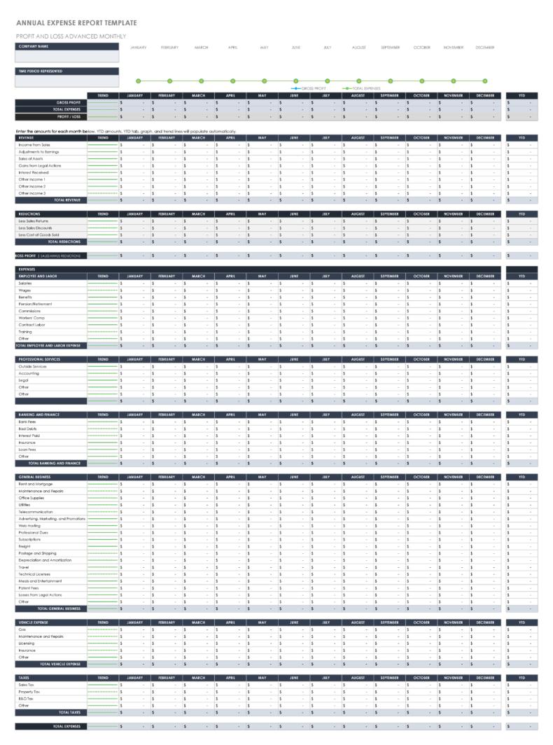 Llc Annual Report Template