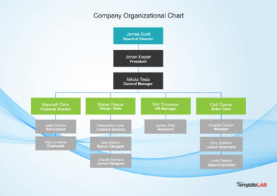 41 Organizational Chart Templates (Word, Excel, PowerPoint, PSD)