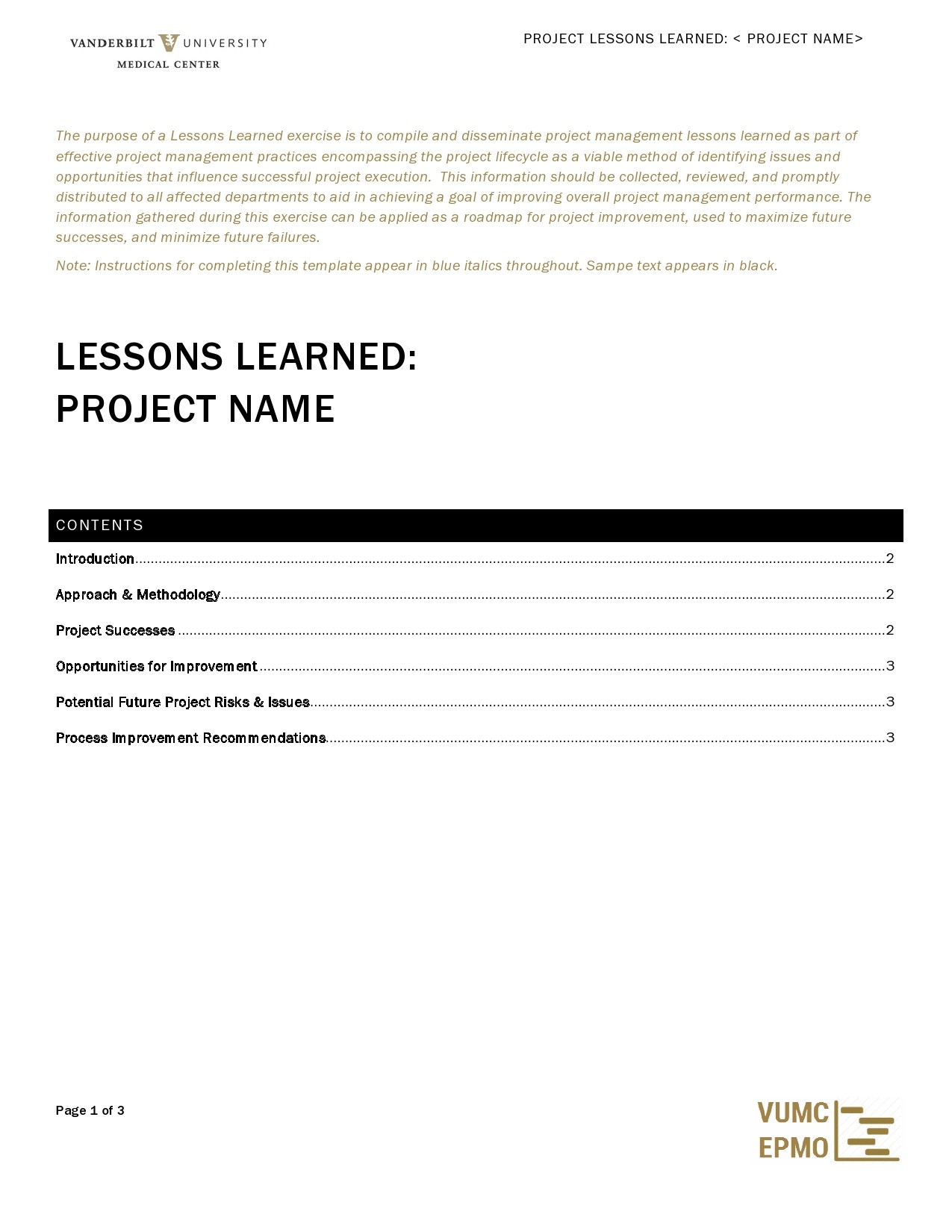 Free lessons learned template 29